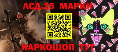 индика Ставрополь