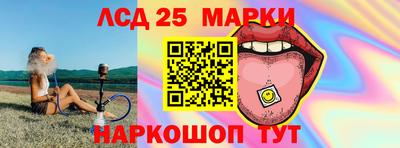 индика Ставрополь