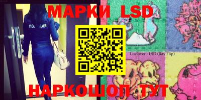 индика Ставрополь
