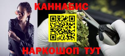 индика Ставрополь