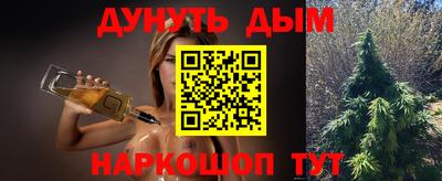 индика Ставрополь