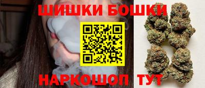 индика Ставрополь