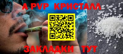 индика Ставрополь